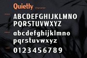 Quietly - Sans Serif Font, a Sans Serif Font by Alpaprana (Thumbnail 8 of 10)