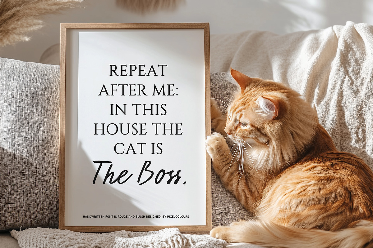 Script Font Duo Rouge +Blush, a Handwritten Font by pixelcolours (Photo 7 of 20)