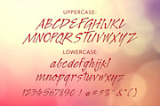 Legault Light Hand-Drawn Script, a Script Font by The Thrill of Design (Thumbnail 3 of 5)