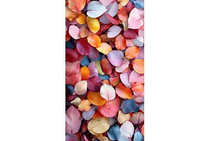 Colorful autumn leaves in vibrant, a Nature Photo by Lermont51