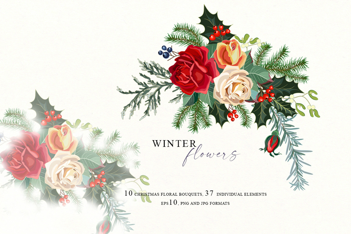 Winter flowers - Christmas clipart, a Decorative Illustration by Vasmila (Photo 1 of 9)