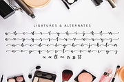 Blushring - Modern Calligraphy, a Script Font by Sibelumpagi Studio (Thumbnail 11 of 11)