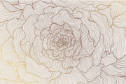 Line Flowers Illustrations, a Decorative Illustration by Marylia (Thumbnail 2 of 19)