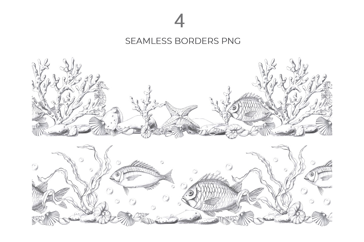Underwater world, pencil graphics, an Animal Illustration by SvetLana (Photo 11 of 15)