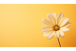 delicate yellow background flower ai, a Nature Photo by pikepicture