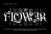 COVERS SHORES - ROMANTIC FONT, a Serif Font by 177Studio (Thumbnail 4 of 8)