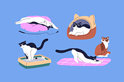 Funny cats set, banner, patterns, an Animal Illustration by PaperTrident (Thumbnail 4 of 8)