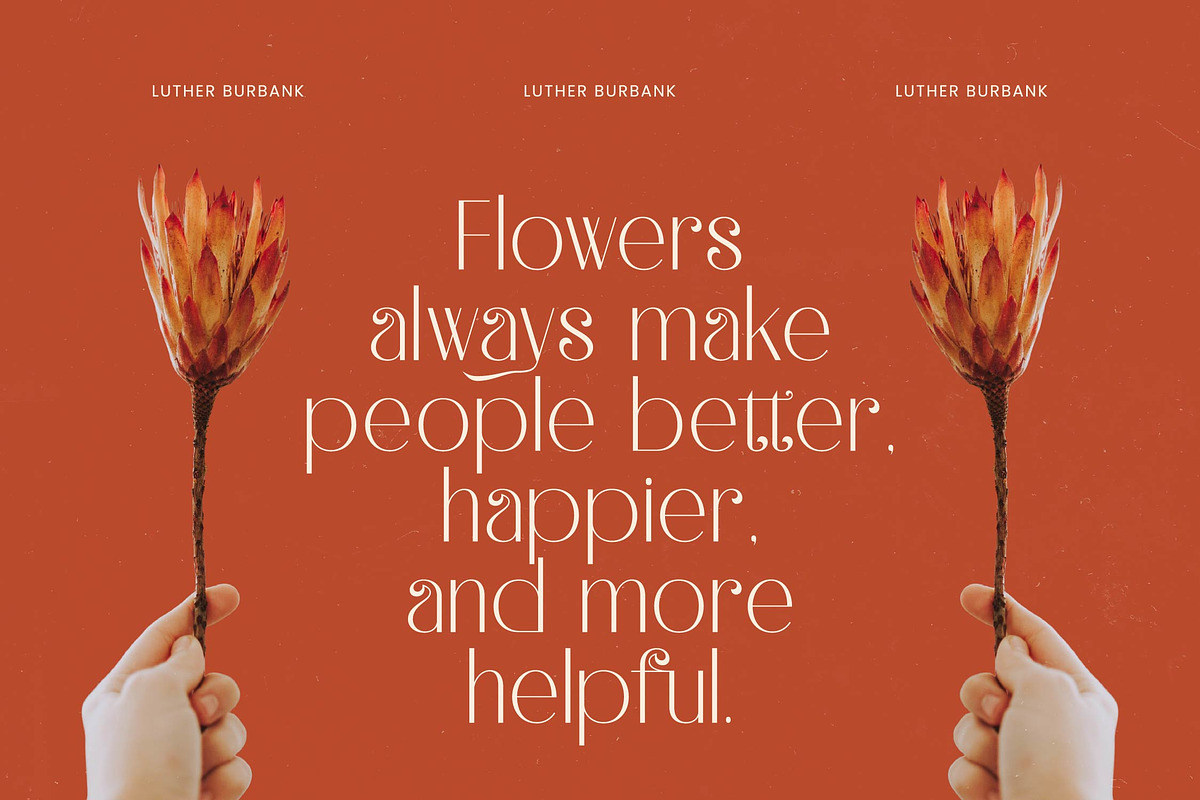 Hustle Batik Elegant Display Serif, a Serif Font by timelesstype.co (Photo 10 of 20)