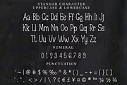 Modern Farmhouse, a Sans Serif Font by FreshTypeINK (Thumbnail 6 of 8)