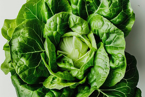 A vibrant fresh head of green lettuc, a Photo by LOGOCREATIVE