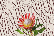 Bespoke Display - Serif & Script Duo, a Serif Font by SilverStag Type Foundry (Thumbnail 23 of 36)