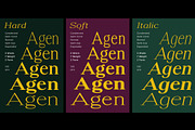 Shequan, a Serif Font by Propertype (Thumbnail 3 of 15)