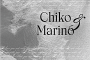 Dorothy Anwoorth - Elegant Serif, a Serif Font by Pinakiaa Studios (Thumbnail 8 of 9)