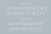 Avakine - Modern Ligature Typface, a Serif Font by AnnofaType (Thumbnail 6 of 8)