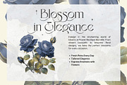 Eloires Elegant Stylish Serif Font, a Serif Font by Heinzel Std (Thumbnail 8 of 11)