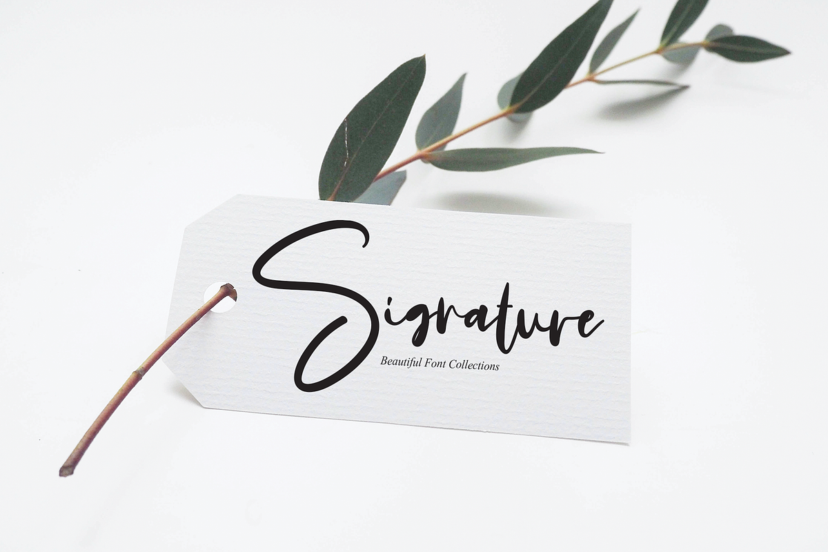 Calligraphy Signature | Script Font, a Script Font by Scratchones (Photo 4 of 8)