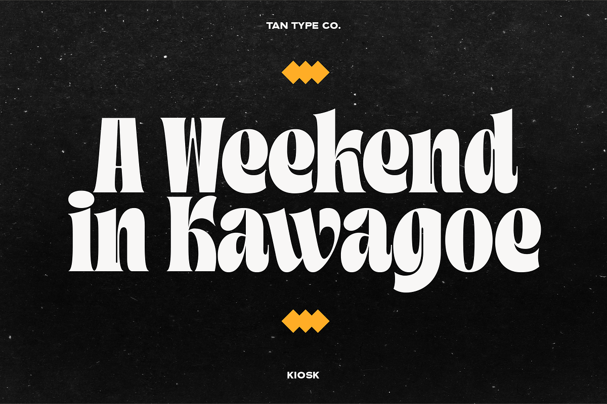 TAN - KIOSK, a Serif Font by TanType (Photo 6 of 16)