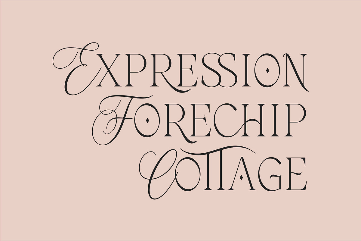 FURBELOWS - Fusion Display Typeface, a Serif Font by Havinkpen (Photo 8 of 9)