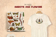 Insects and Flowers, an Animal Illustration by Ink Stories (Thumbnail 15 of 15)