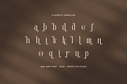 Salmon Elegant Serif Font, a Serif Font by Perfectype (Thumbnail 8 of 8)