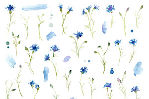 Watercolor Blue Cornflowers Flowers