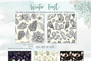 WINTER FROST Script + SVG + Bonus, a Script Font by Olexstudio (Thumbnail 16 of 19)