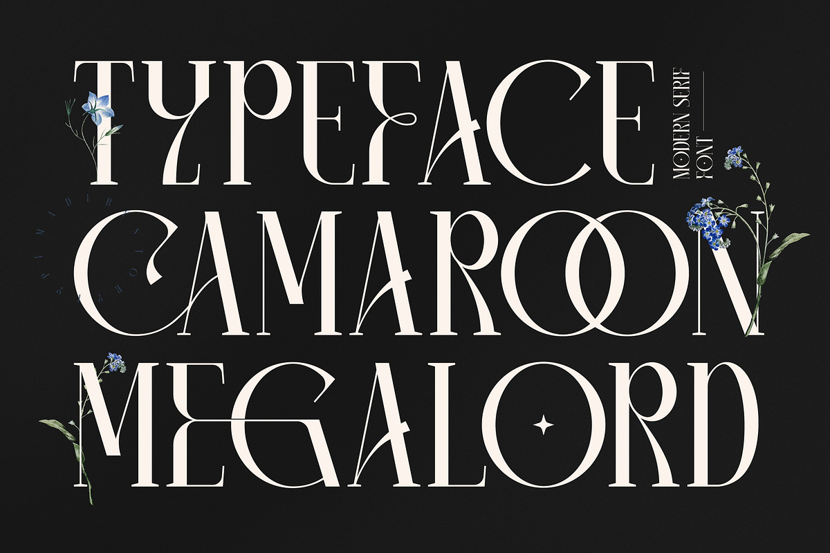 Camaroon Megalord Serif Display Font, a Serif Font by Storytype Studio (Photo 1 of 15)