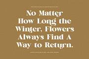 Backira Luxury Serif Font, a Serif Font by Perfectype (Thumbnail 6 of 8)