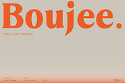 Boujee - Fancy Serif Typefamily, a Serif Font by Jehoo Creative (Thumbnail 1 of 11)