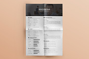 Resume + Cover Letter + Bonus, a Resume Template by Pentaclay (Thumbnail 5 of 5)