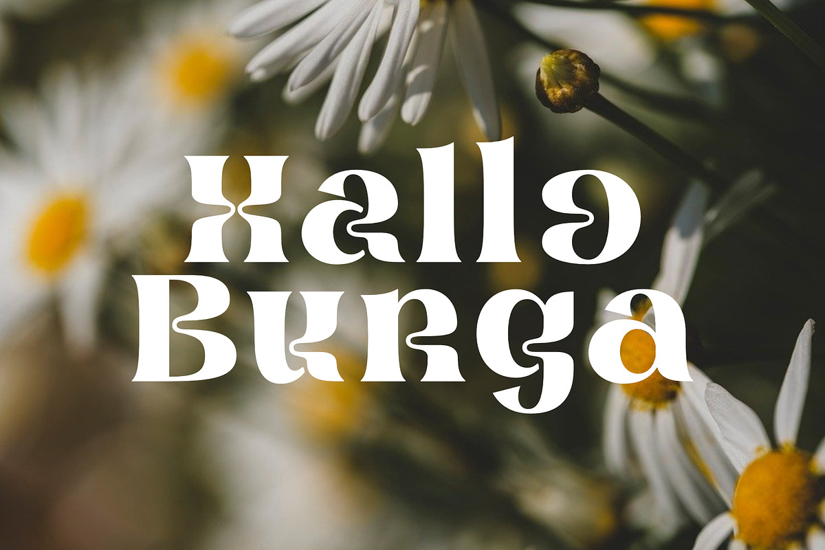 Brangkos A Wave Serif Typeface, a Serif Font by AuthenType (Photo 4 of 13)
