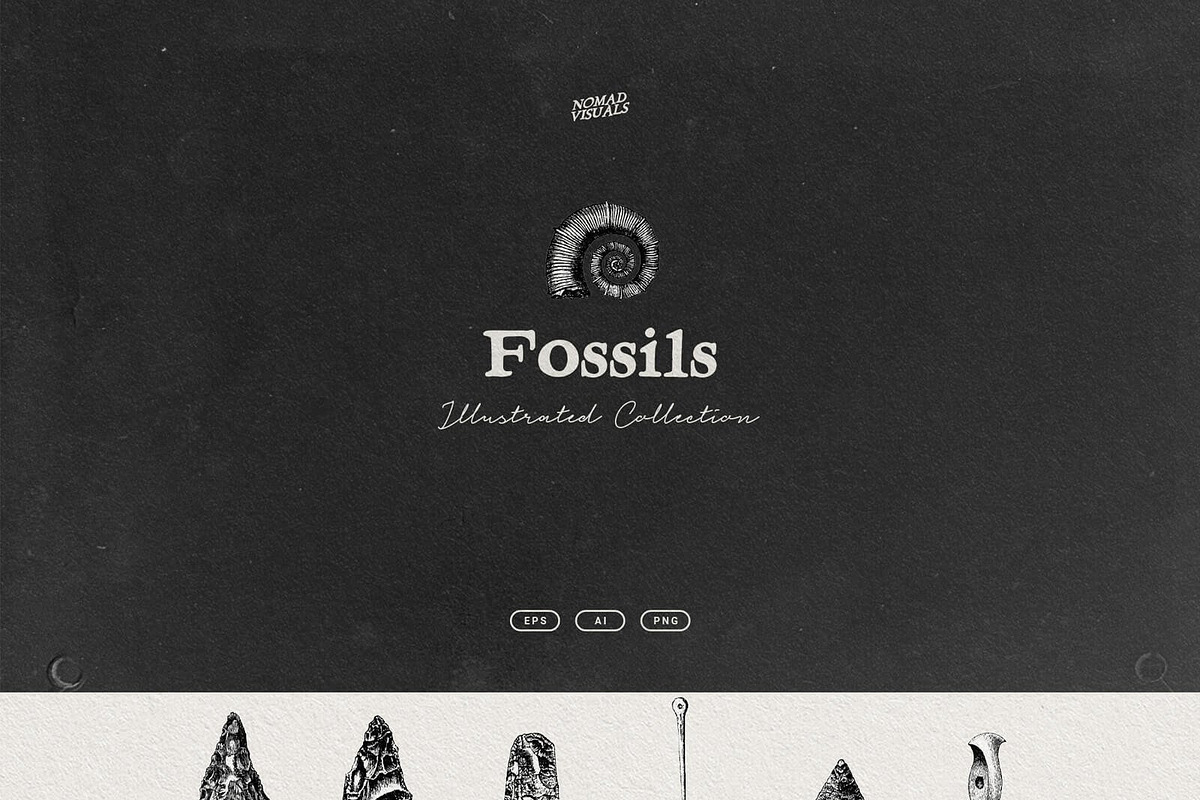Vintage Bundle - 6600+ Illustrations, an Animal Illustration by Nomad Visuals (Photo 25 of 45)