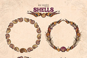 Shells, an Animal Illustration by Ink Stories (Thumbnail 8 of 21)