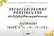 Aldine Script (20% off), a Script Font by khurasan (Thumbnail 8 of 8)