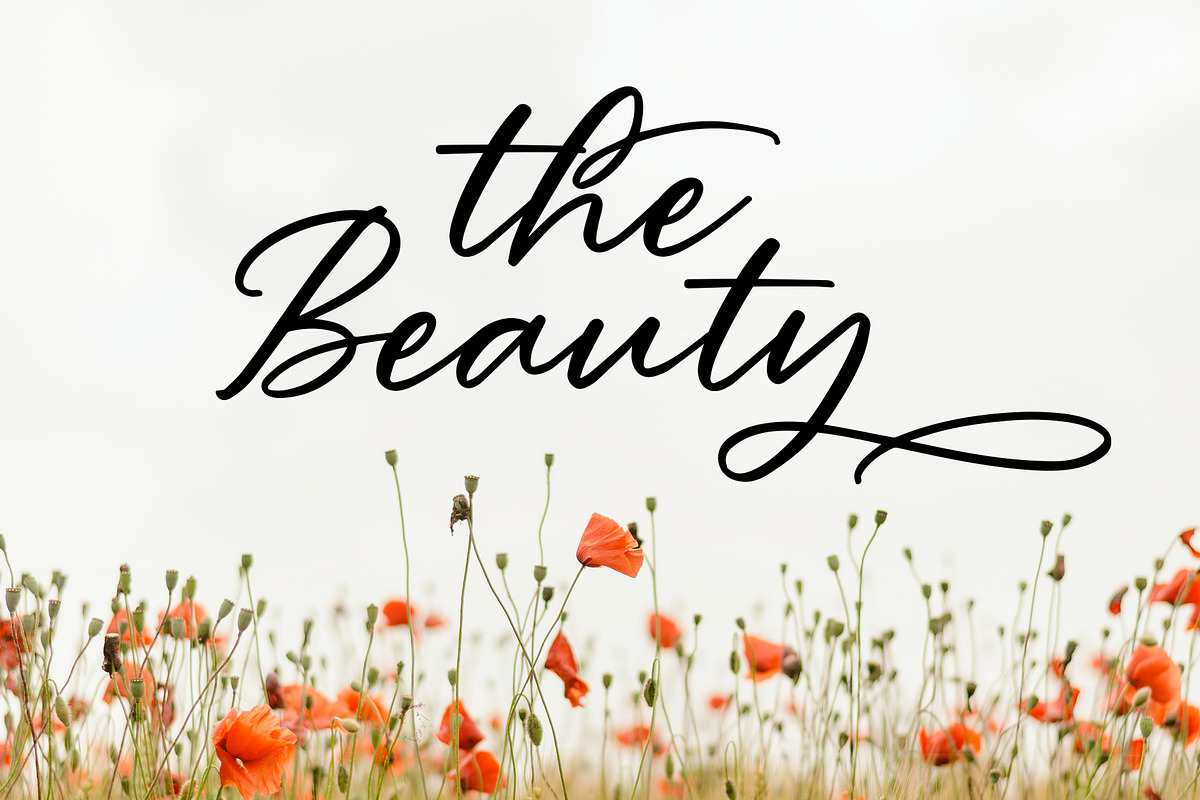 South Highland-Beautiful Script Font, a Script Font by AQR Studio (Photo 1 of 7)