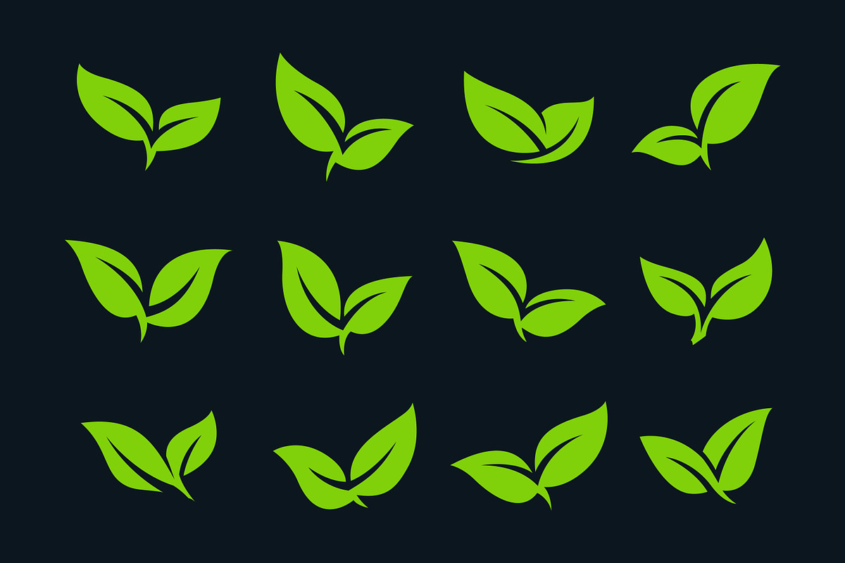Set of Green Leaf Icons Eco Friendly, a Branding & Logo Template by Signatoro (Photo 2 of 3)