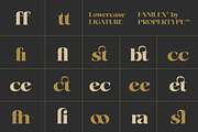 Fanilex, a Serif Font by Propertype (Thumbnail 13 of 16)