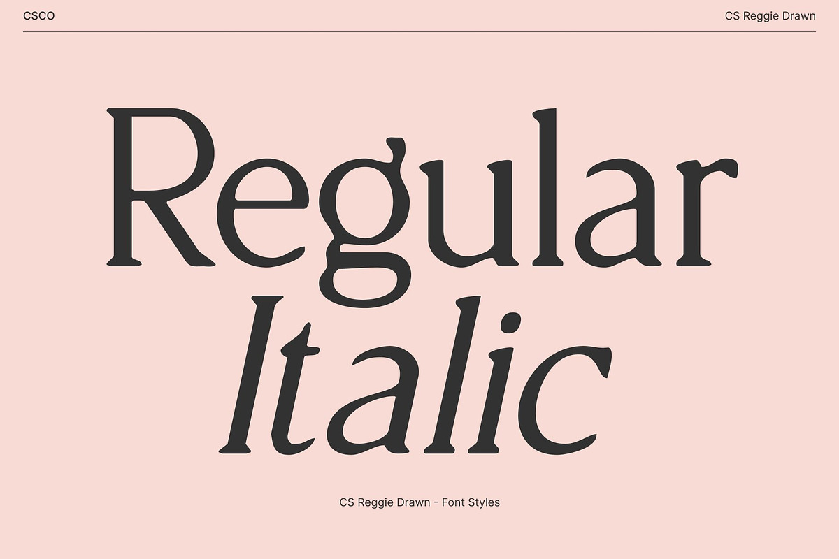 CS Reggie Drawn, a Serif Font by Craft Supply Co. (Photo 4 of 8)