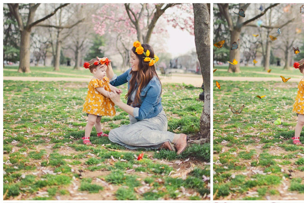 Butterfly PNG photoshop overlays, a Plug-in Add-On by ZephyrDigital (Photo 5 of 6)