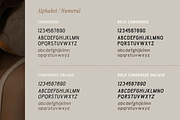 Mornelle - Modern Sans Font, a Sans Serif Font by CuratedType Studio (Thumbnail 10 of 10)