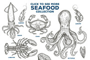 Seafood Illustrations, a Food Illustration by PicByKate (Thumbnail 2 of 5)