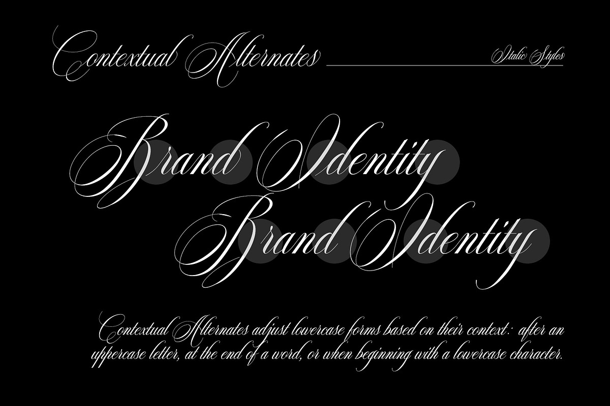 Reichamerina font family, a Serif Font by Ryul Davidson (Photo 21 of 27)