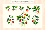 Cottage Strawberry Clipart & Pattern, a Pattern Graphic by PATTERNS etc. (Thumbnail 12 of 16)