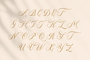 Donaparte, a Script Font by Slex Studio (Thumbnail 9 of 10)