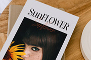 Cartis Beautyful Font Duo, a Serif Font by ToniStudio (Thumbnail 9 of 14)