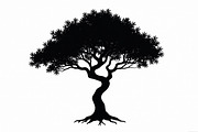 20 Black Tree Silhouettes Bundle, an Illustration by Gaye Art (Thumbnail 12 of 21)