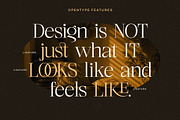 Luxury Styilsh Modern Serif Font, a Serif Font by Lettersiro (Thumbnail 2 of 7)