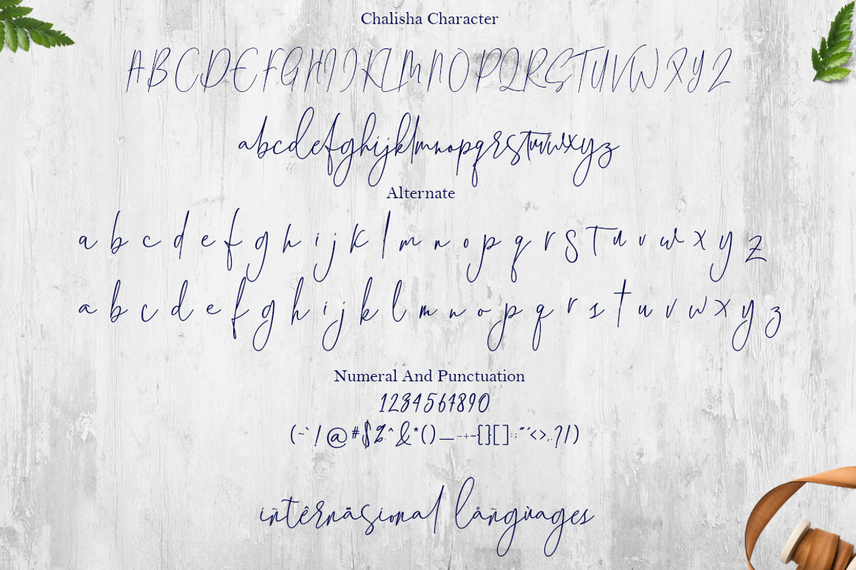 Chalisha Modern Calligraphy, a Script Font by Teweka (Photo 10 of 12)