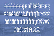 Fellars Typeface, a Serif Font by Jan-Christian Bruun (Thumbnail 3 of 6)