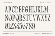 Chantila - Modern Serif Font, a Serif Font by TropicalSunlightCo. (Thumbnail 7 of 10)